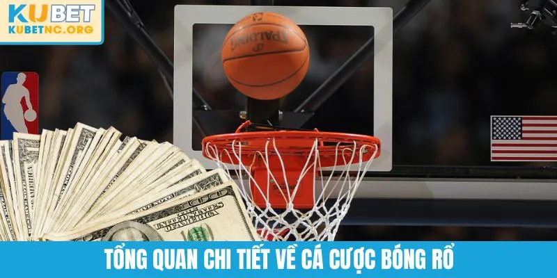 Cá Cược Bóng Rổ | Bí Kíp Tham Gia Hiệu Quả Cho Người Mới