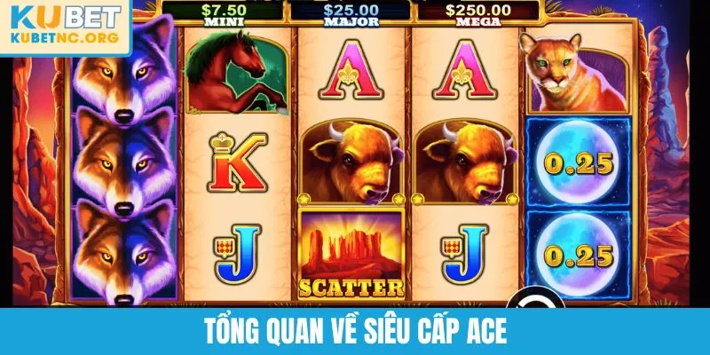 Tổng quan về Siêu Cấp ACE